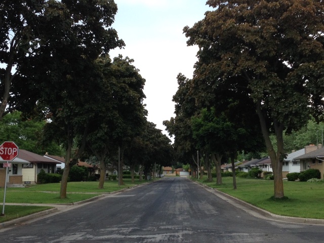 One of the many tree-lined streets in Valhalla.