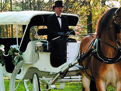  Wedding Guide on Onmilwaukee Com Wedding Guide  Wedding Transportation  The Ride Of