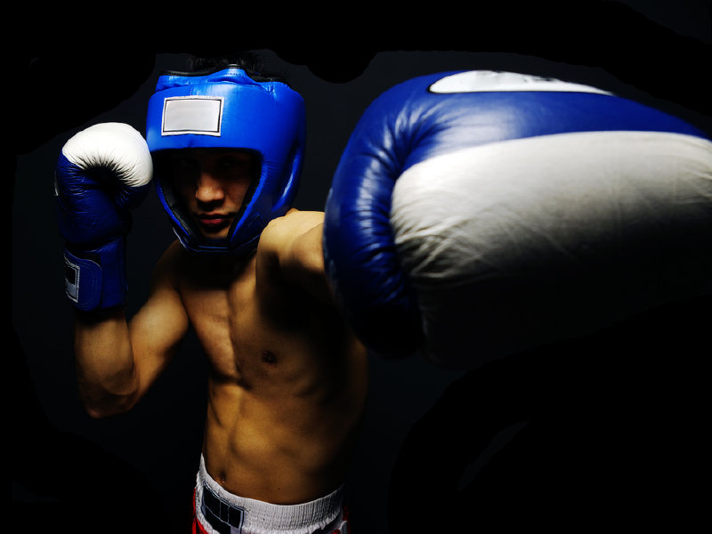 photo of a boxer