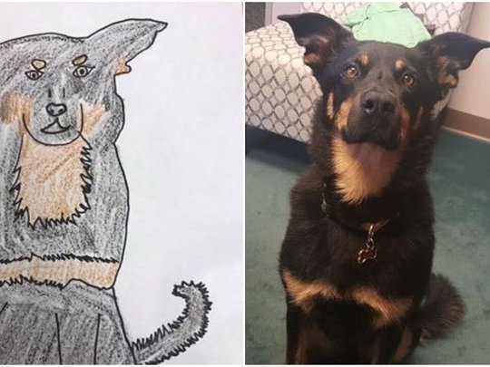 mean dog drawings