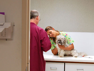 A busy Saturday morning at St. Paul's Vet Clinic - OnMilwaukee