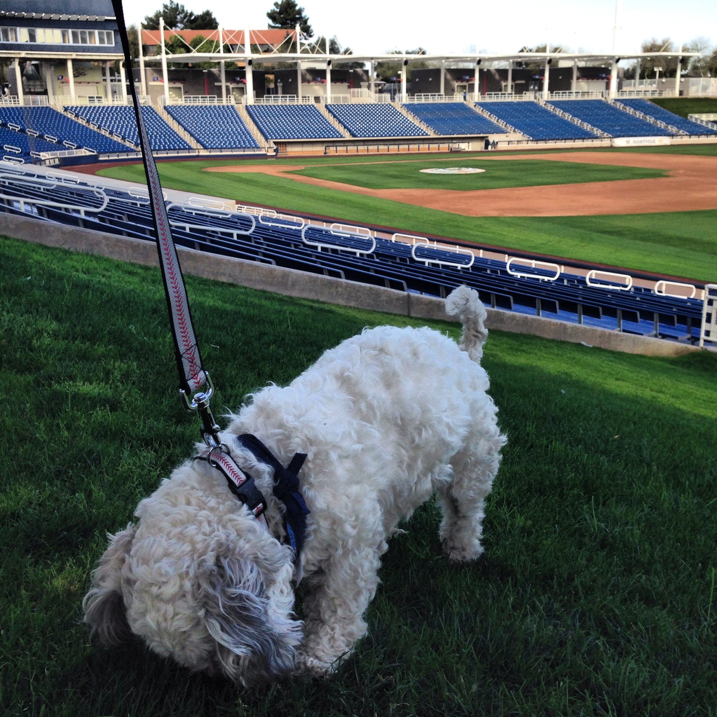 5 doggone reasons I love the 2014 Brewers