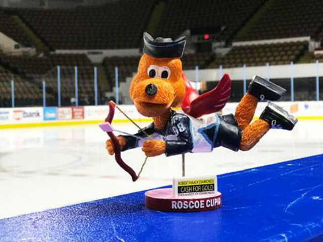 Roscoe The Milwaukee Admirals Mascot - Bango invited me to his Birthday  party on Feb. 4th. Video posts to follow