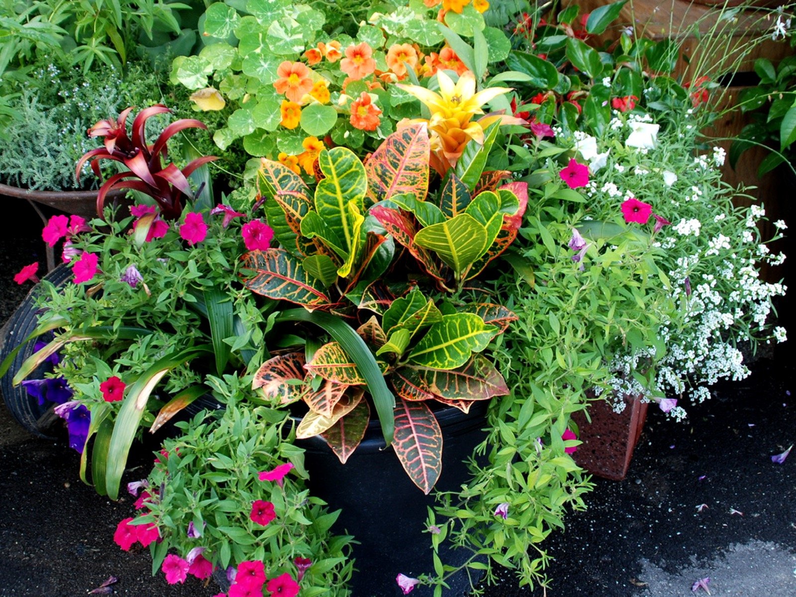 Take the hassle out of watering container gardens
